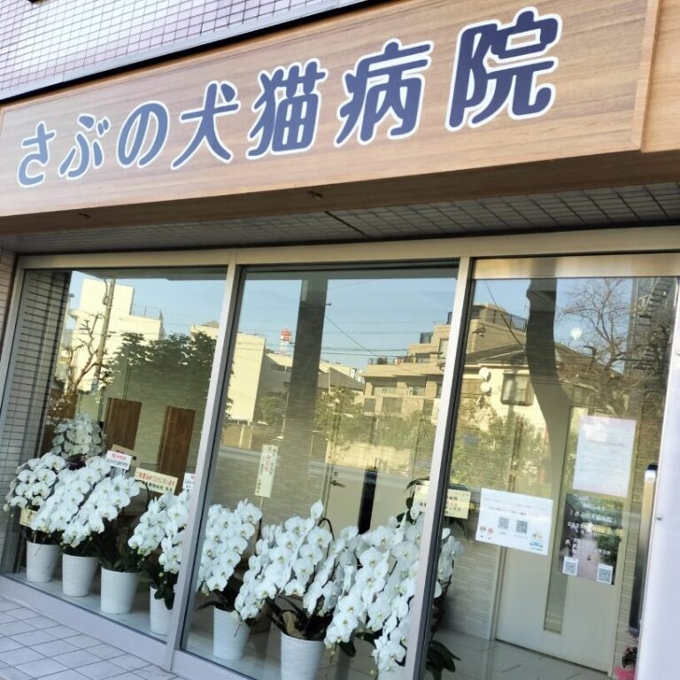 サムネ