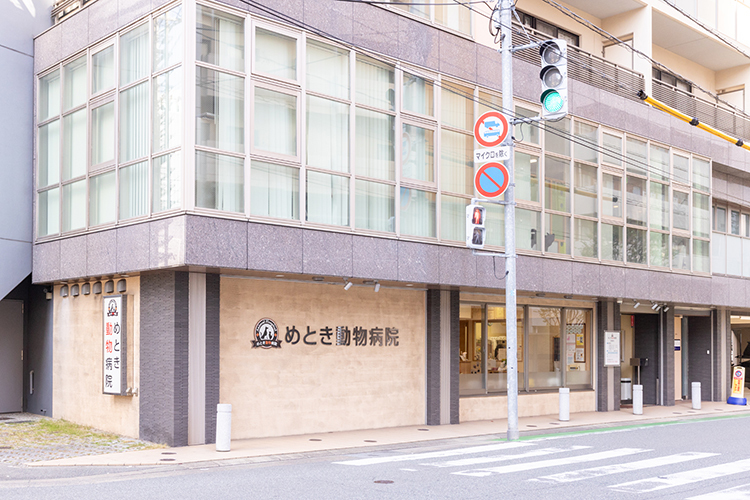 サムネ
